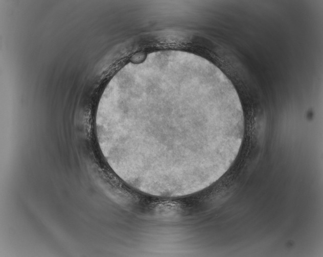 X0000115280599200912111228