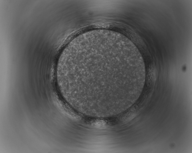 X0000115280600200912111228