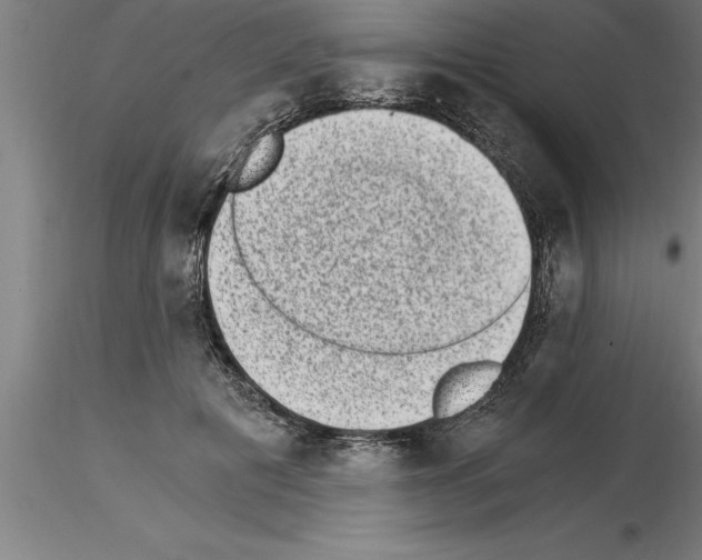 X0000115280601200912111228