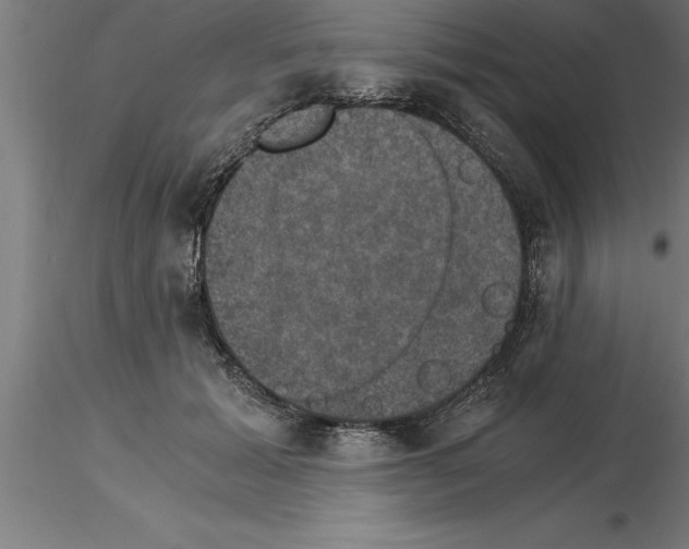 X0000115280605200912111228