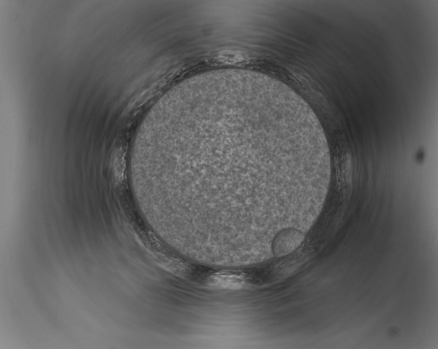 X0000115280606200912111227