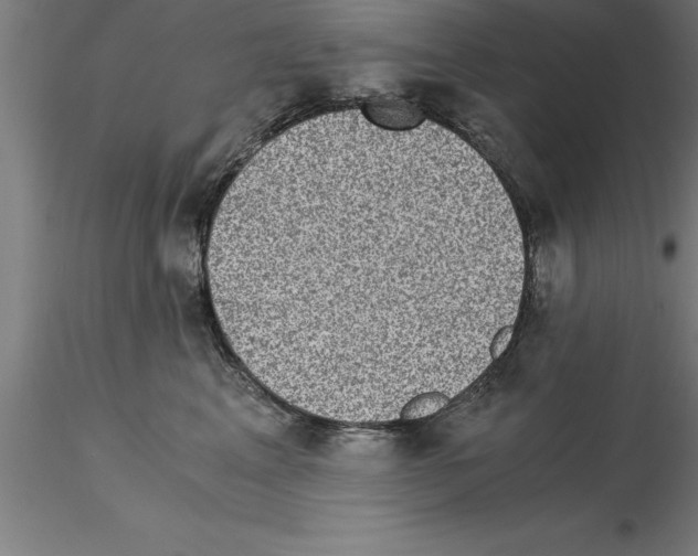 X0000115280617200912111227