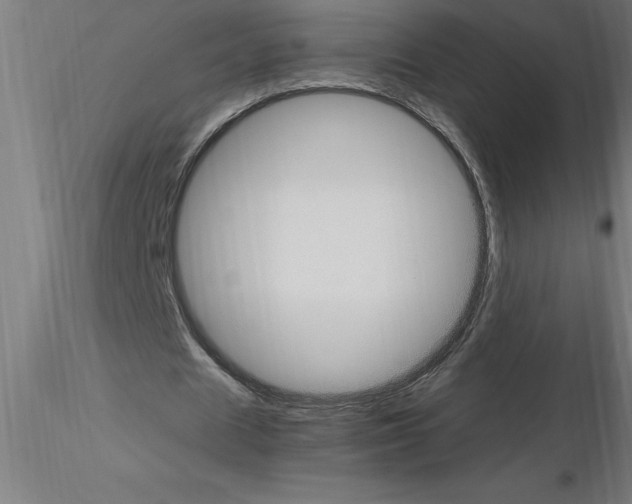 X0000115280625200912111227