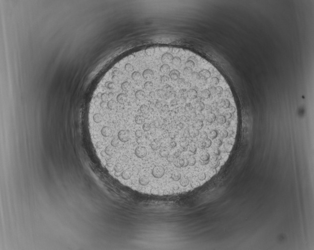 X0000115280626200912111227