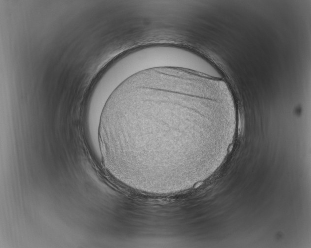 X0000115280627200912111227