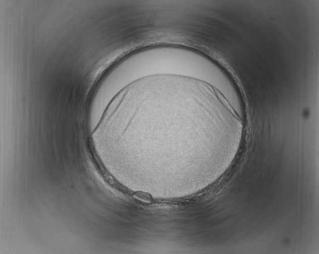 X0000115280629200912111227