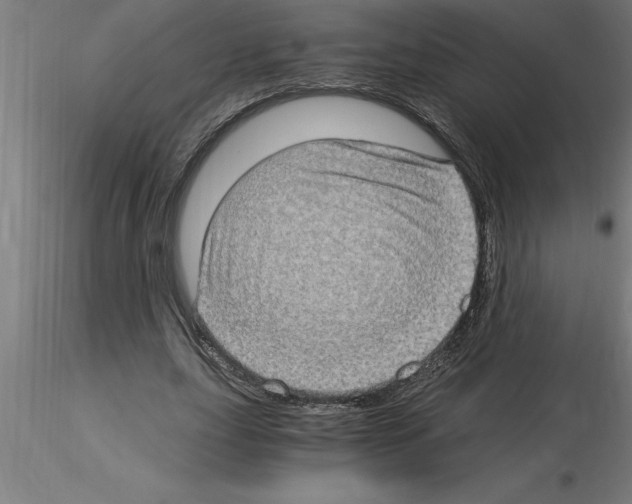 X0000115280631200912111227