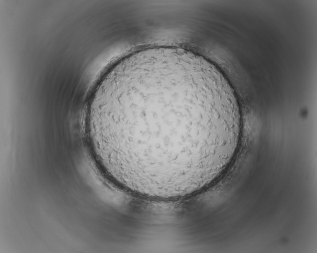 X0000115280632200912111227