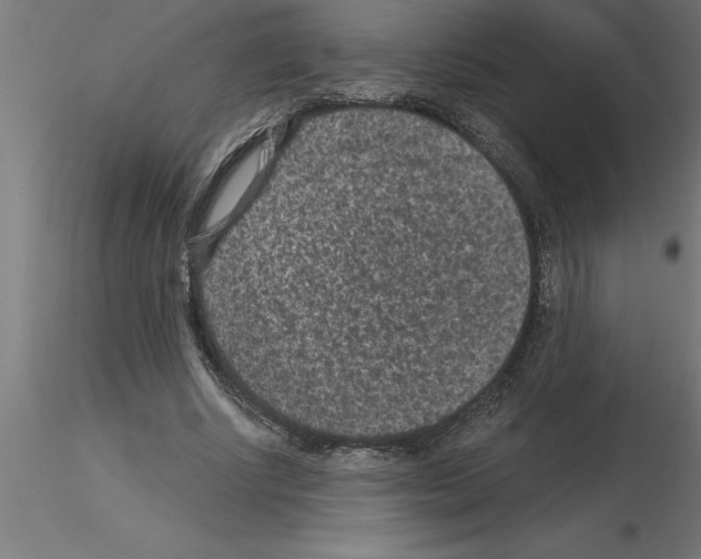 X0000115280634200912111227