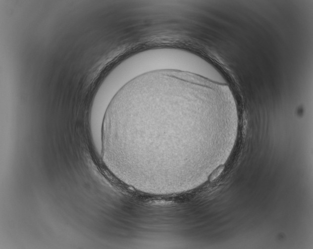 X0000115280637200912111227