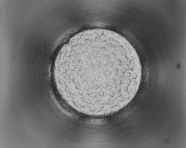 X0000115280638200912111227