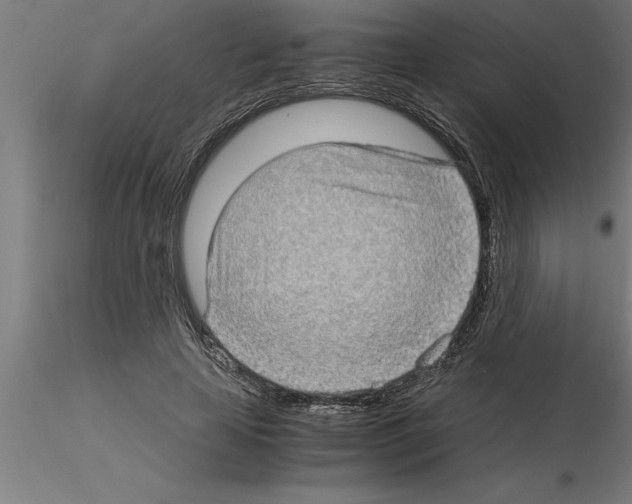 X0000115280641200912111227