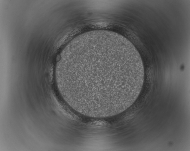 X0000115280642200912111227