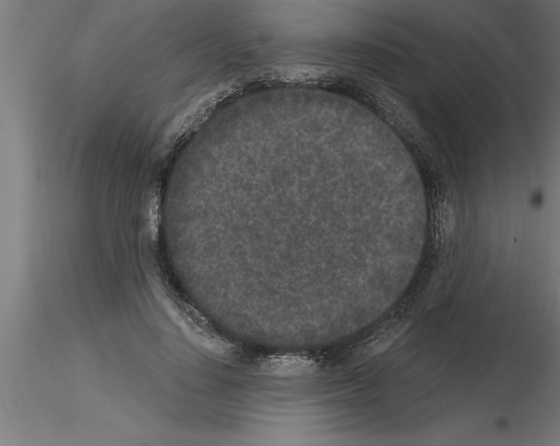 X0000115280644200912111227