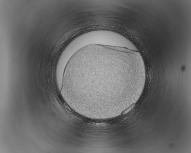 X0000115280645200912111227