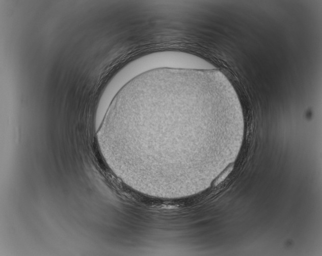 X0000115280647200912111227