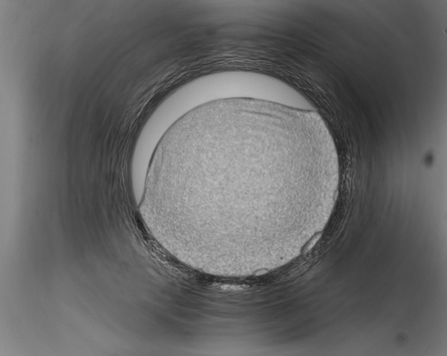 X0000115280649200912111227