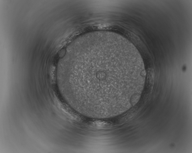 X0000115280650200912111227