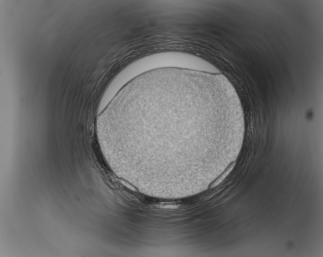 X0000115280651200912111227