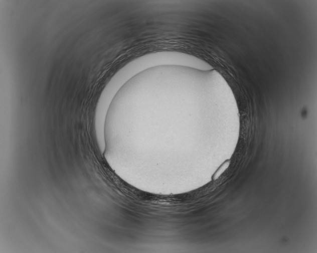 X0000115280655200912111227