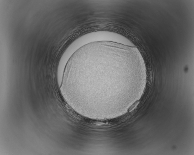 X0000115280657200912111227