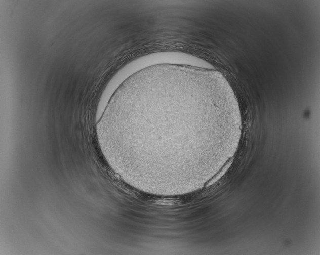 X0000115280659200912111227