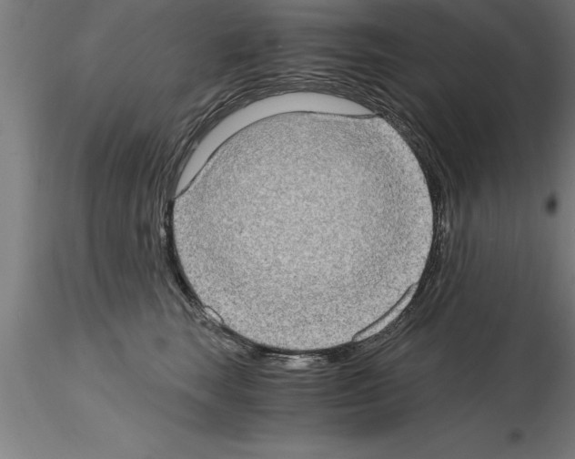 X0000115280663200912111227