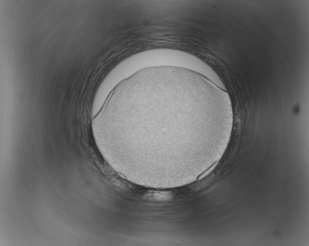 X0000115280665200912111227