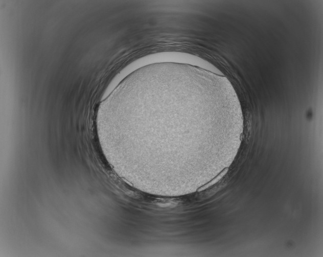 X0000115280667200912111227