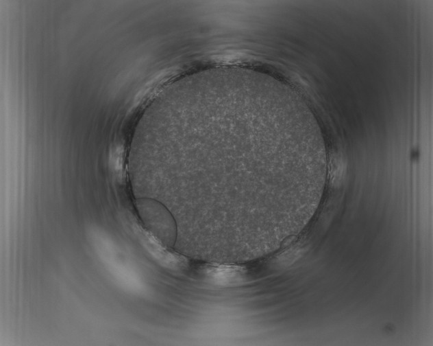 X0000115280670200912111227