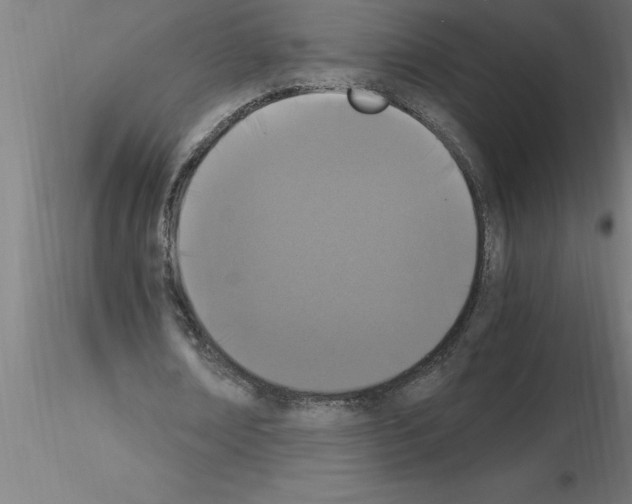 X0000115280674200912111227