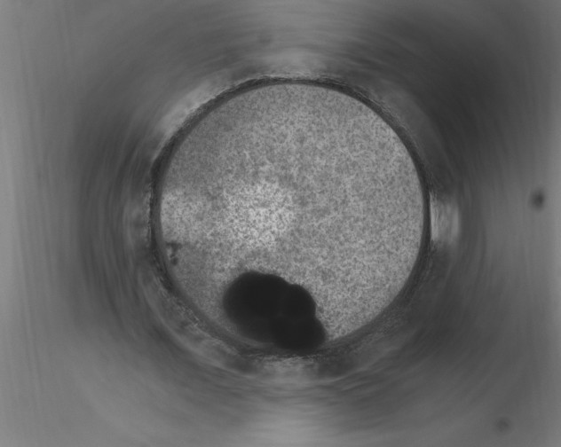 X0000115280675200912111227