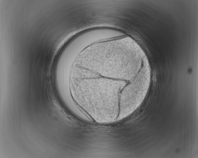 X0000115280676200912111227