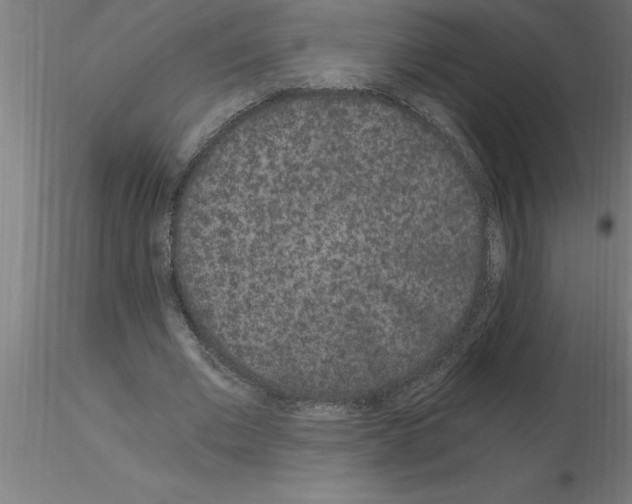 X0000115280677200912111227