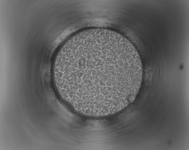 X0000115280679200912111226