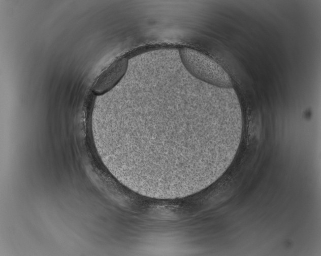 X0000115280680200912111226