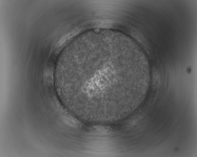 X0000115280681200912111226