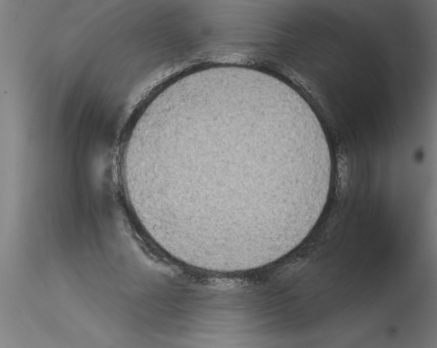 X0000115280682200912111226