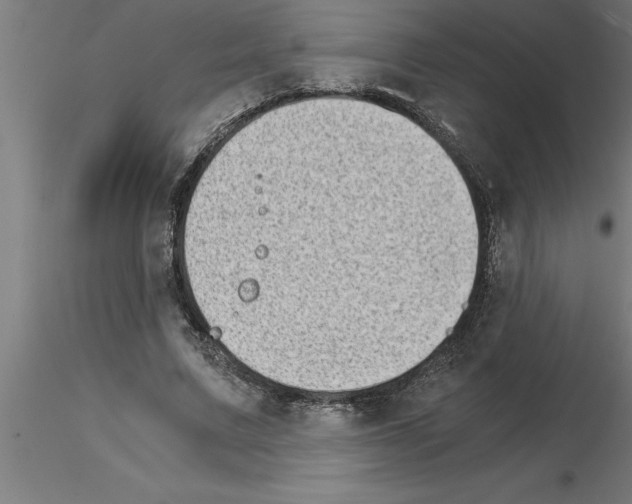 X0000115280683200912111226