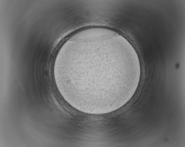 X0000115280684200912111226