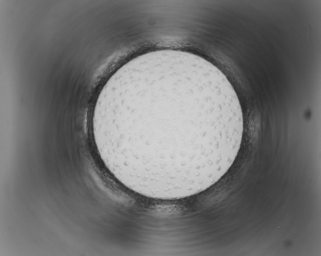 X0000115280686200912111226