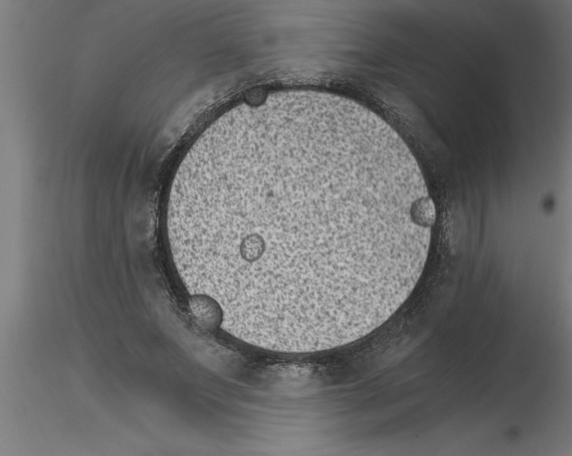 X0000115280687200912111226