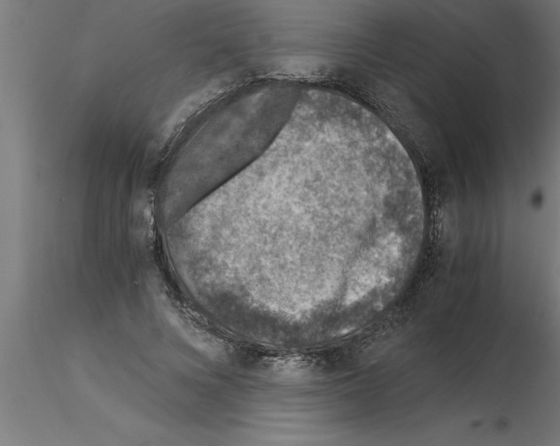 X0000115280688200912111226