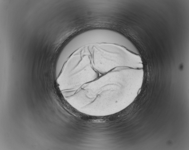 X0000115280692200912111226