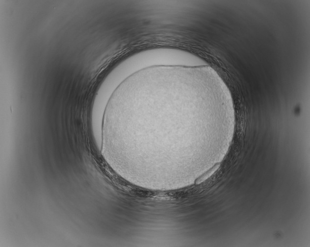 X0000115280696200912111226