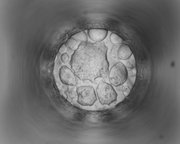 X0000115280701200912111226