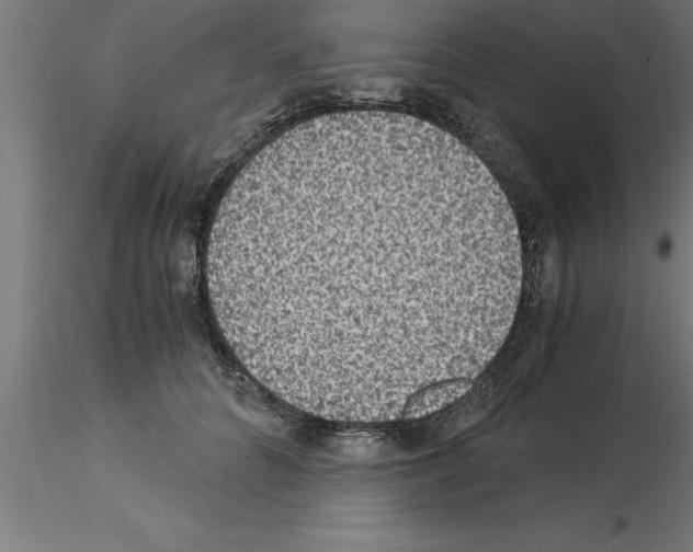 X0000115280704200912111226