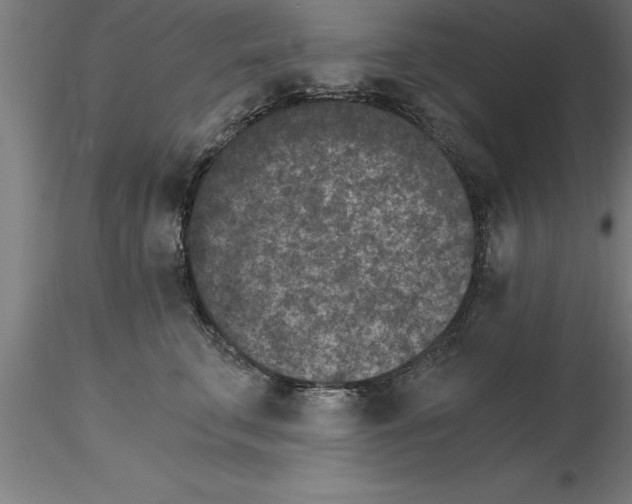 X0000115280711200912111226