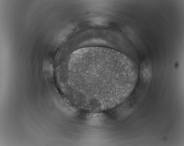 X0000115280716200912111226