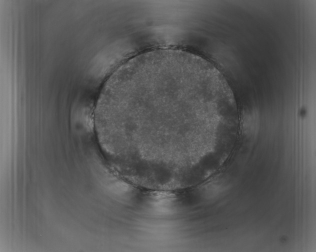 X0000115280719200912111226